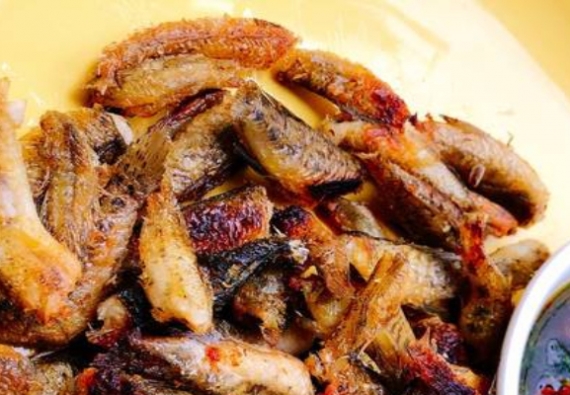 CÁ BỐNG CHIÊN MẮM NGÒ