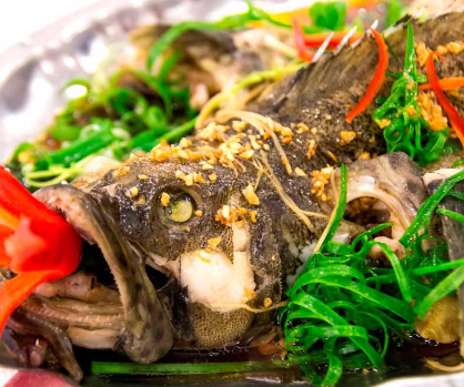 CÁ HẤP HONGKONG