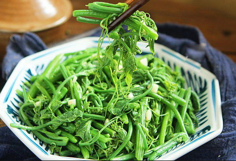 NGỌN SUSU XÀO TỎI