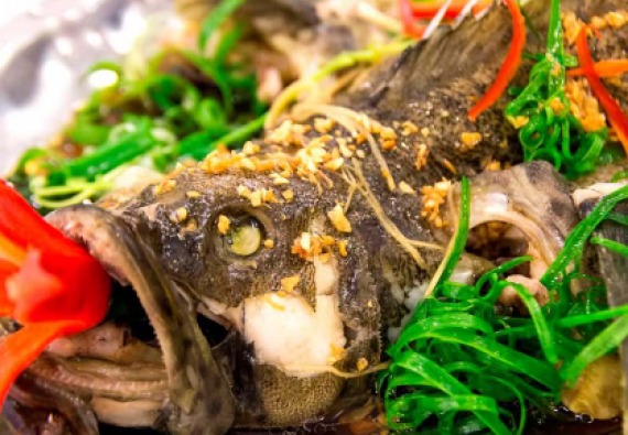 CÁ HẤP HONGKONG